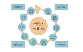 宝胜国际携手掌秀,共同打造b2b2c b2b全渠道销售平台